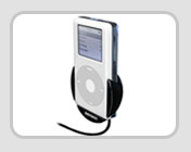 iPod Car Kit